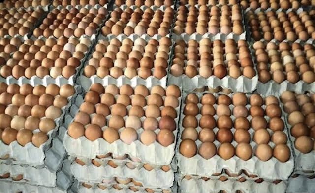 Current Price of a Crate of Eggs in Nigeria