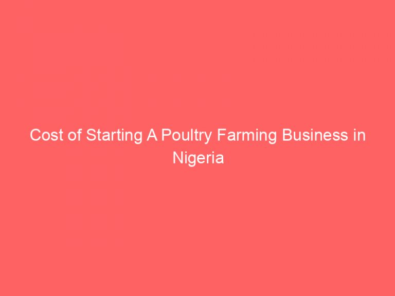 Cost of Starting A Poultry Farming Business in Nigeria